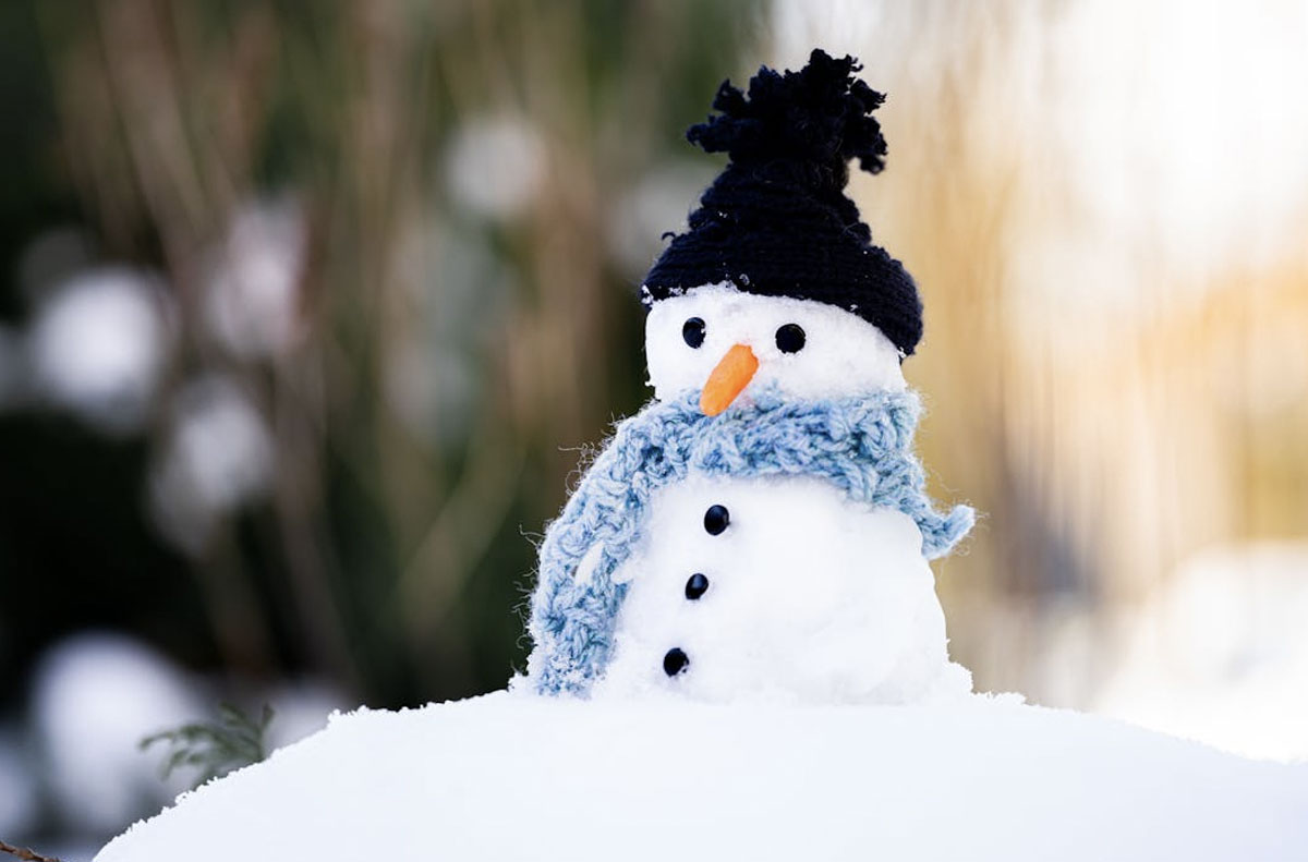 Featured image for “t/m zondag 11 januari: dicht door weersomstandigheden”