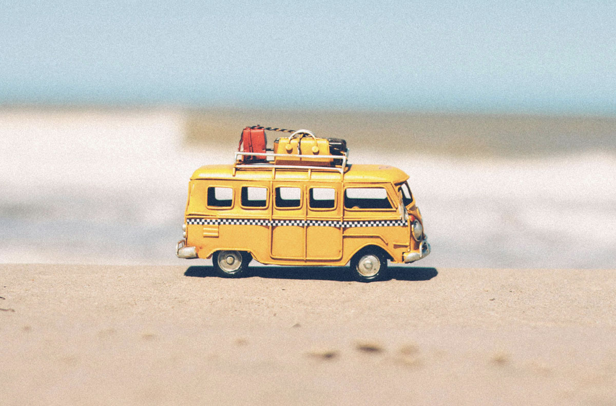 Featured image for “Klup Zomerrooster”